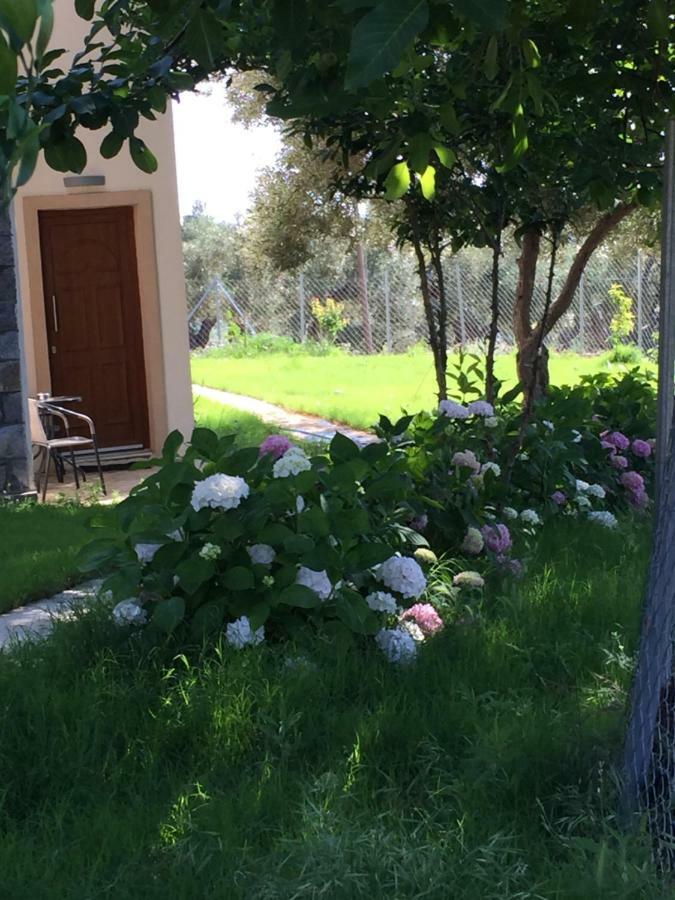 Samothraki Suites Kalisti Xiropotamos Kültér fotó