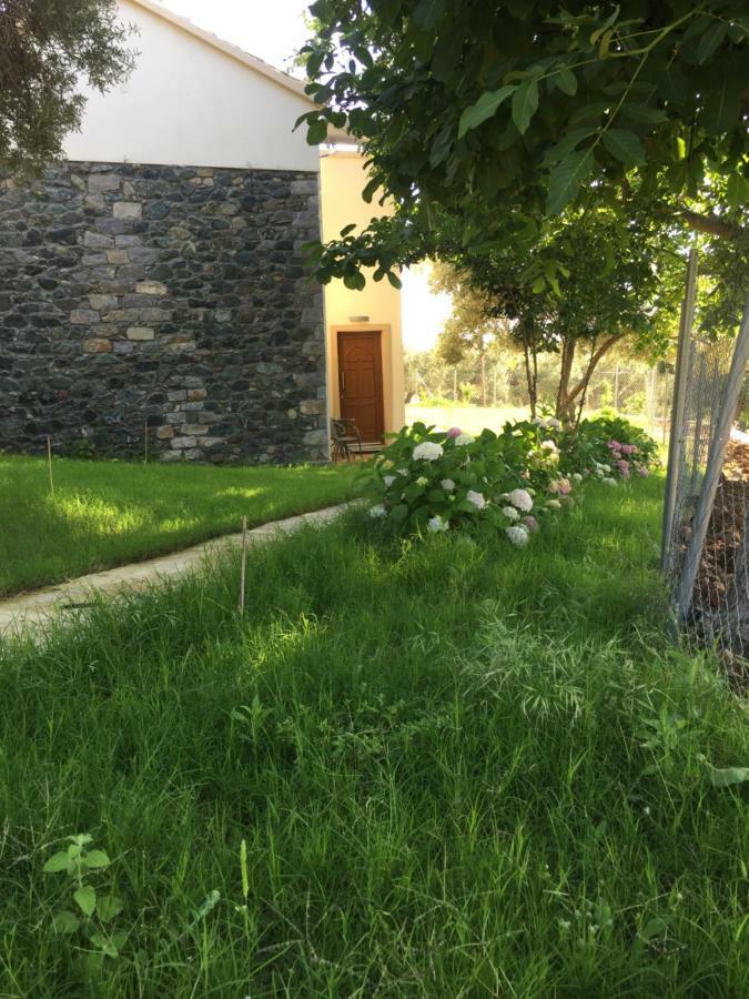 Samothraki Suites Kalisti Xiropotamos Kültér fotó